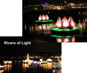 Rivers of Light