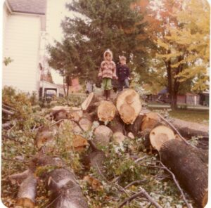 Jenn and Brad Tree in Thorndale